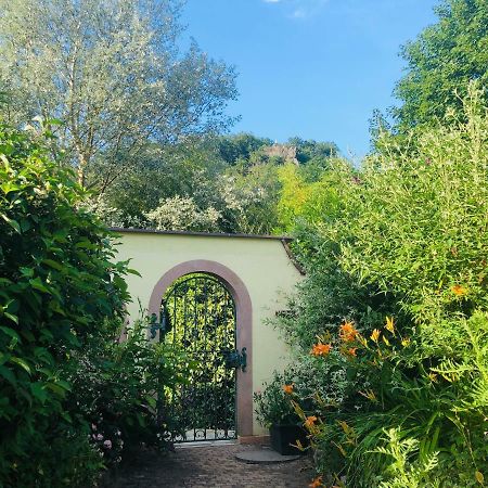 Lo'Gîte L'Allée du Val Lalaye Extérieur photo