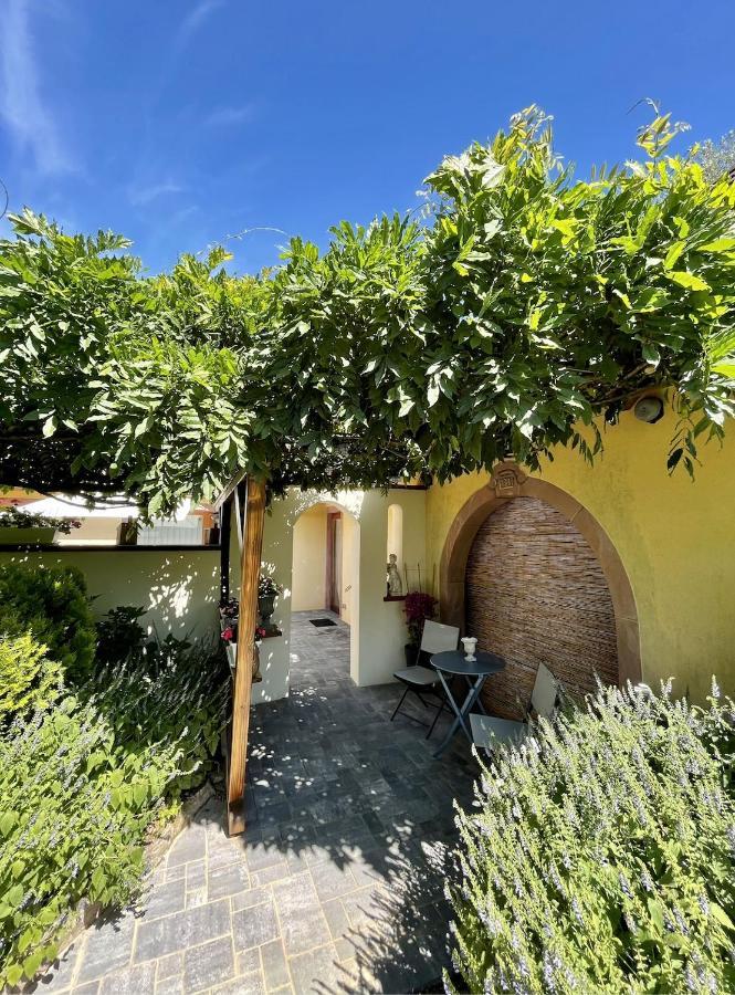 Lo'Gîte L'Allée du Val Lalaye Extérieur photo