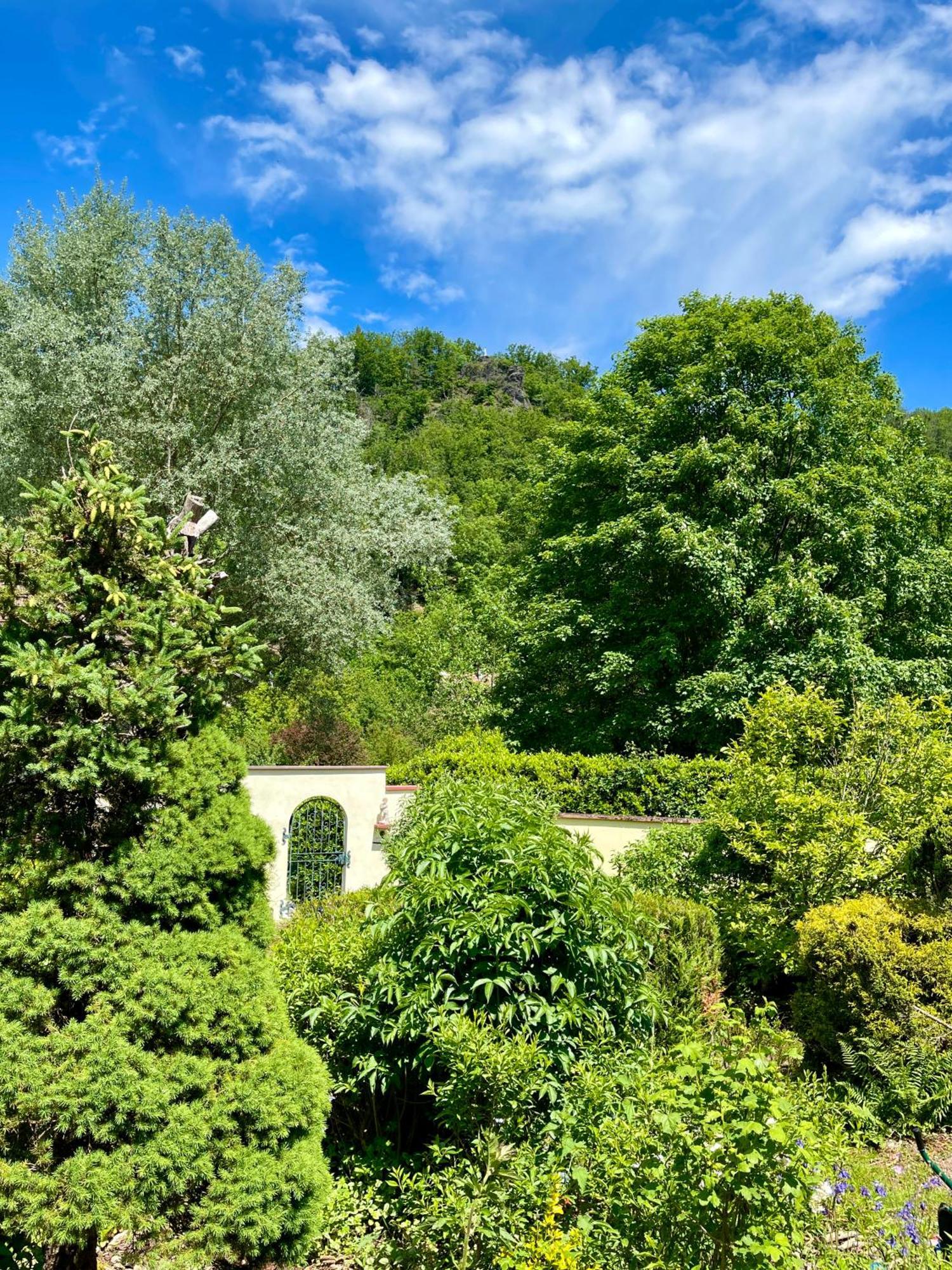Lo'Gîte L'Allée du Val Lalaye Extérieur photo