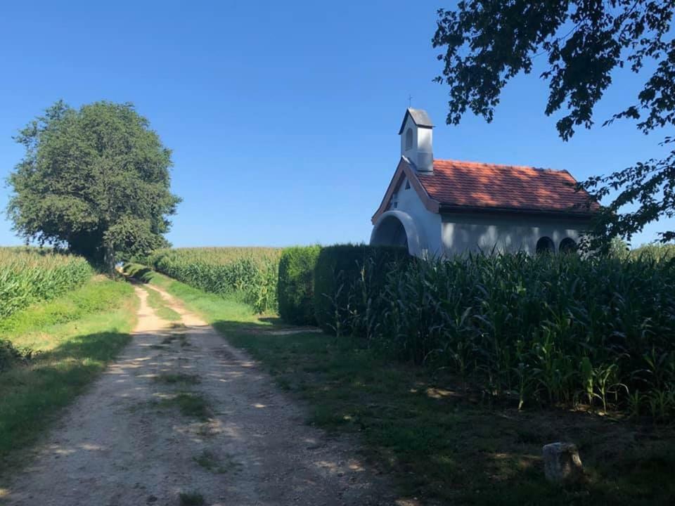 Lo'Gîte L'Allée du Val Lalaye Extérieur photo